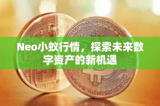 Neo小蚁行情，探索未来数字资产的新机遇