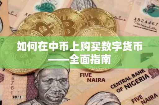 如何在中币上购买数字货币——全面指南