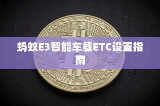 蚂蚁E3智能车载ETC设置指南