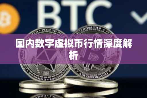 国内数字虚拟币行情深度解析