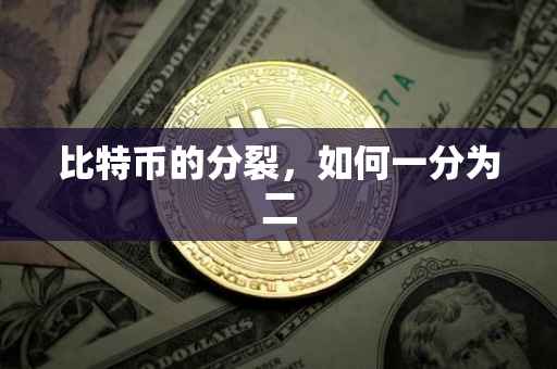 比特币的分裂，如何一分为二