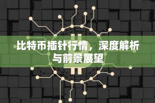 比特币插针行情，深度解析与前景展望