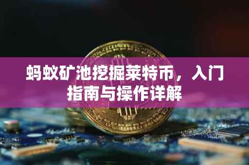 蚂蚁矿池挖掘莱特币，入门指南与操作详解