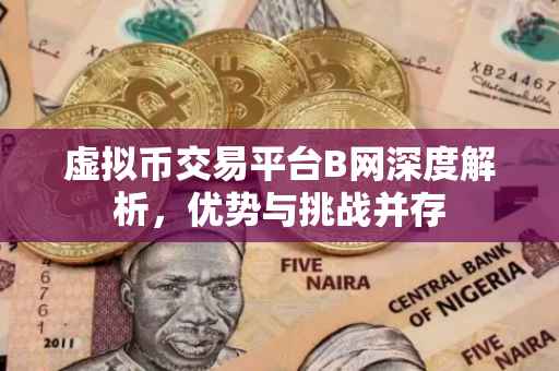虚拟币交易平台B网深度解析，优势与挑战并存