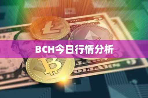 BCH今日行情分析