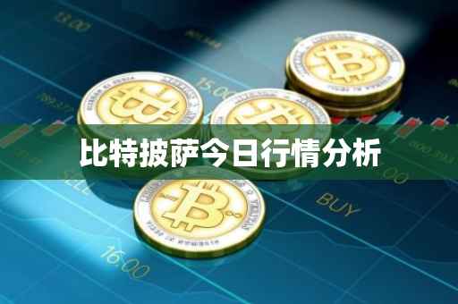 比特披萨今日行情分析