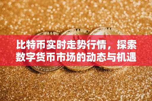 比特币实时走势行情，探索数字货币市场的动态与机遇
