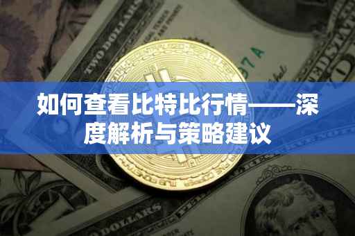 如何查看比特比行情——深度解析与策略建议