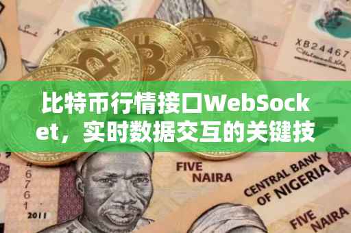 比特币行情接口WebSocket，实时数据交互的关键技术