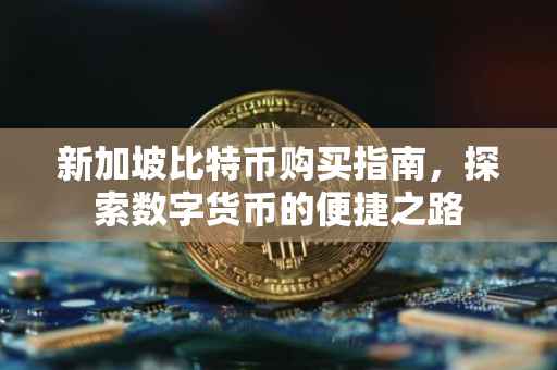 新加坡比特币购买指南，探索数字货币的便捷之路