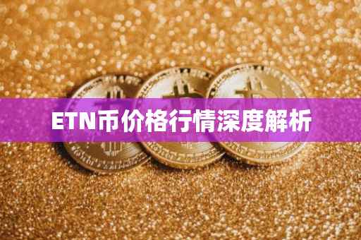 ETN币价格行情深度解析