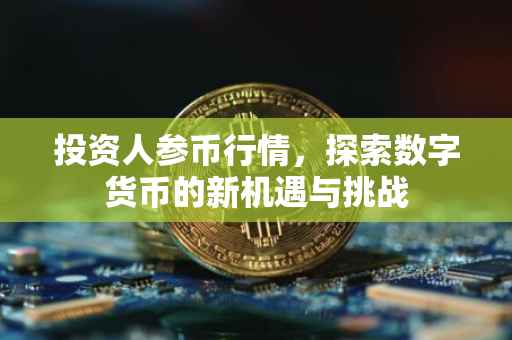 投资人参币行情，探索数字货币的新机遇与挑战