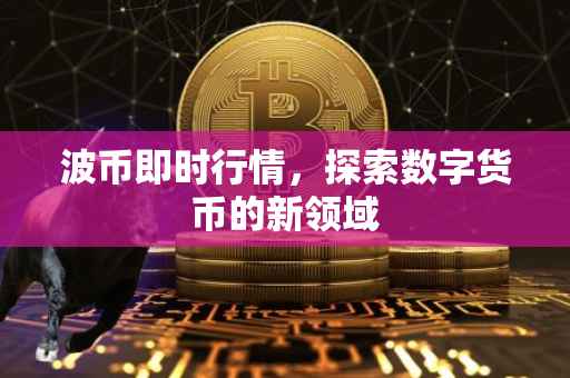 波币即时行情，探索数字货币的新领域
