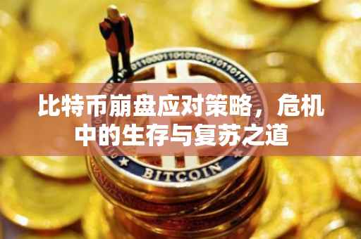 比特币崩盘应对策略，危机中的生存与复苏之道