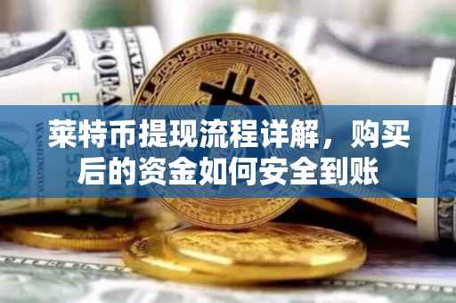 莱特币提现流程详解，购买后的资金如何安全到账