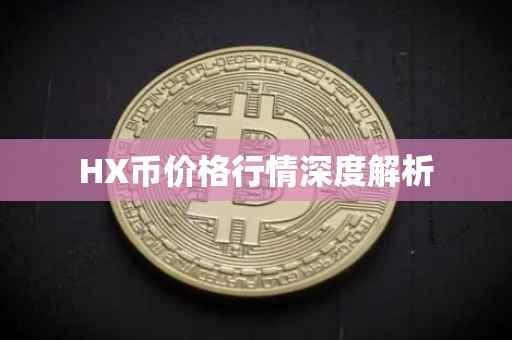 HX币价格行情深度解析