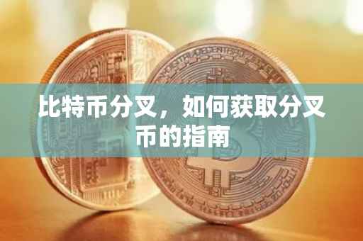 比特币分叉，如何获取分叉币的指南