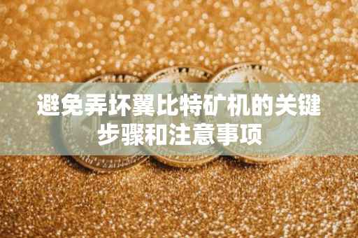 避免弄坏翼比特矿机的关键步骤和注意事项