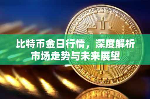 比特币金日行情，深度解析市场走势与未来展望