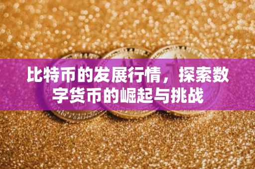 比特币的发展行情，探索数字货币的崛起与挑战