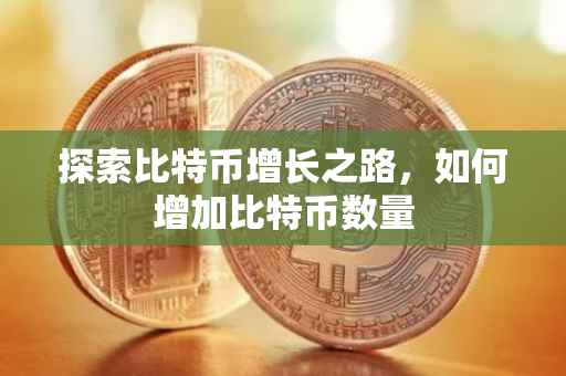 探索比特币增长之路，如何增加比特币数量