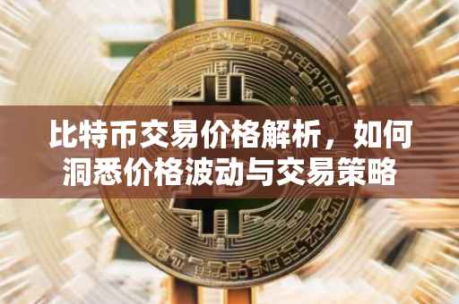 比特币交易价格解析，如何洞悉价格波动与交易策略