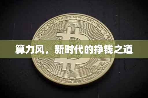 算力风，新时代的挣钱之道