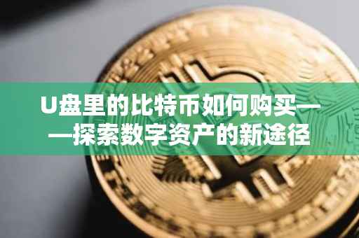 U盘里的比特币如何购买——探索数字资产的新途径