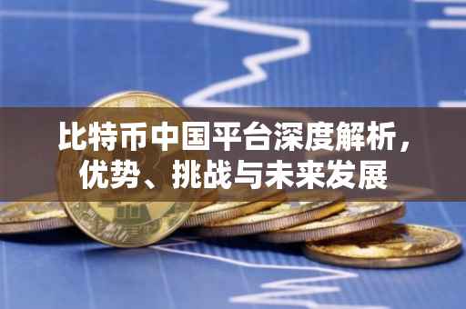 比特币中国平台深度解析，优势、挑战与未来发展