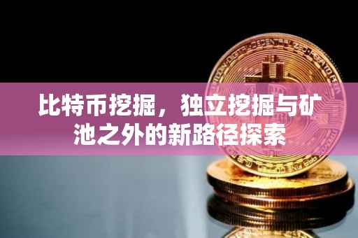 比特币挖掘，独立挖掘与矿池之外的新路径探索