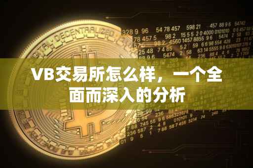 VB交易所怎么样，一个全面而深入的分析