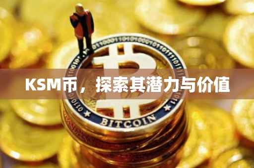 KSM币，探索其潜力与价值