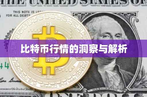 比特币行情的洞察与解析