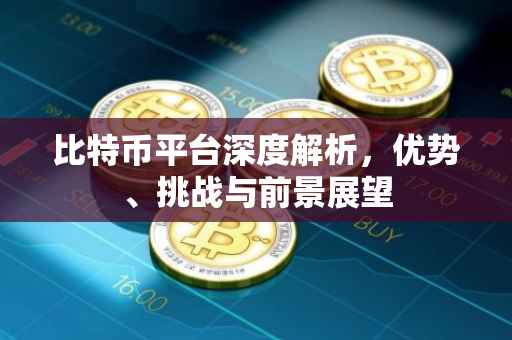 比特币平台深度解析，优势、挑战与前景展望