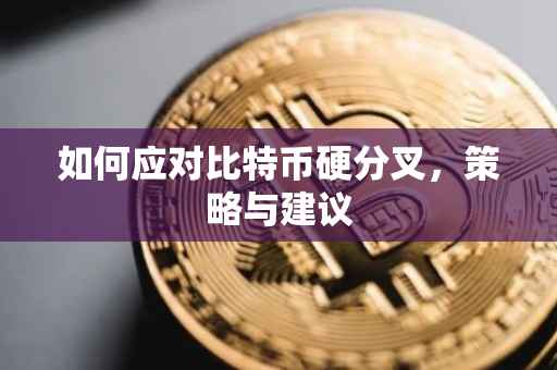 如何应对比特币硬分叉，策略与建议