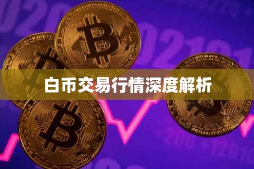 白币交易行情深度解析