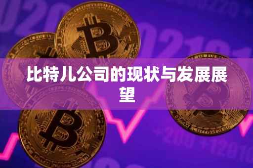 比特儿公司的现状与发展展望