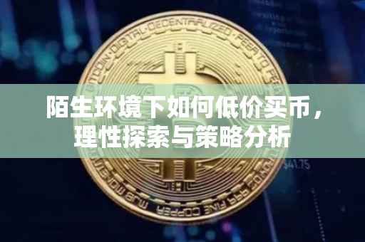 陌生环境下如何低价买币，理性探索与策略分析