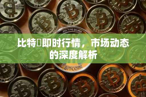 比特帀即时行情，市场动态的深度解析