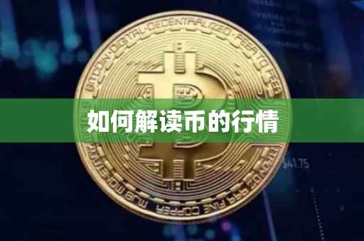 如何解读币的行情