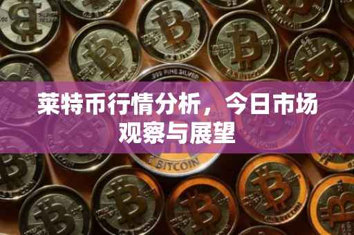 莱特币行情分析，今日市场观察与展望