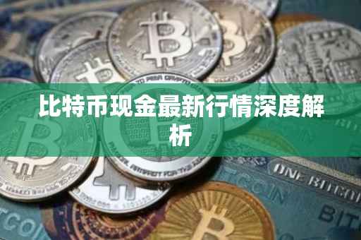 比特币现金最新行情深度解析