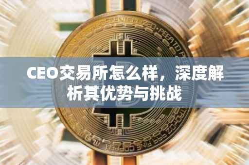 CEO交易所怎么样，深度解析其优势与挑战