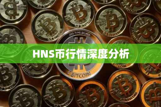 HNS币行情深度分析