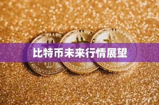 比特币未来行情展望