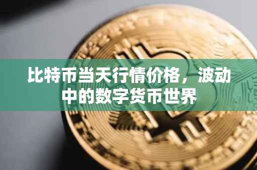 比特币当天行情价格，波动中的数字货币世界