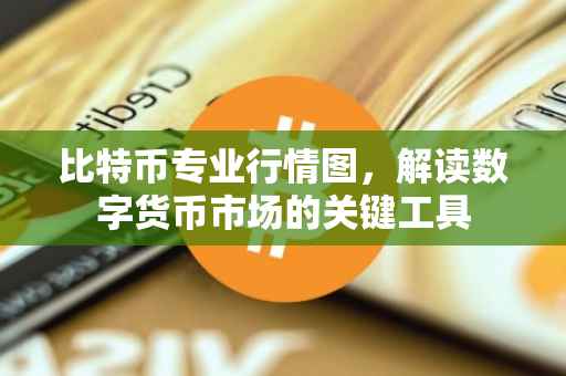 比特币专业行情图，解读数字货币市场的关键工具