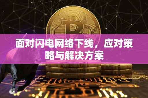 面对闪电网络下线，应对策略与解决方案
