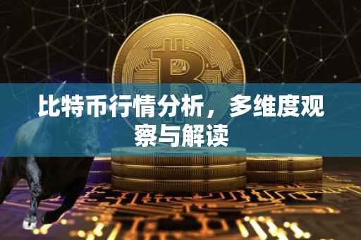 比特币行情分析，多维度观察与解读