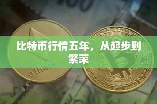 比特币行情五年，从起步到繁荣